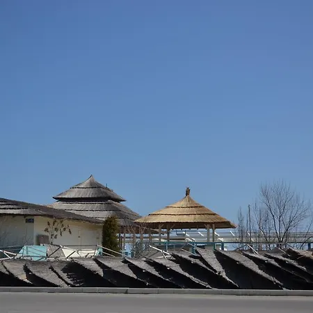 Lav * Mamaia